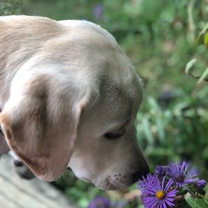 Meet your Posher, Emilia